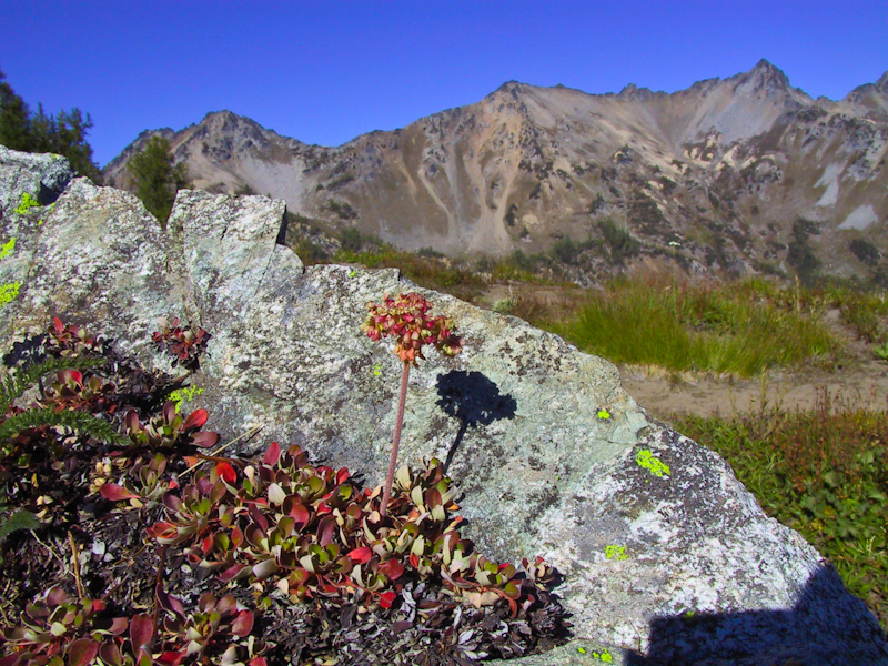 Entiat Range